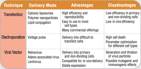 Delivery expression vector (shrna) to