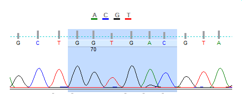 GGT Codon 13