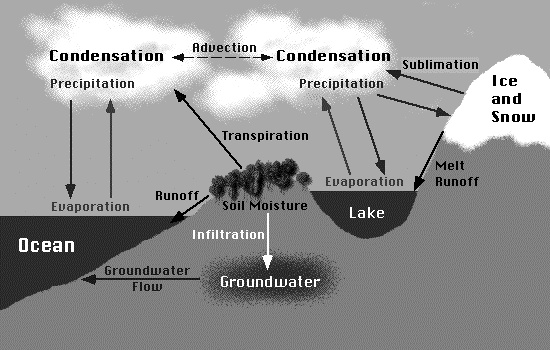 6. ELEMENTE DE HIDROLOGIE 6.1 GENERALITĂŢI Hidrologia studiază circulaţia şi distribuţia aelor e toate saţiile, interacţiunea acestora cu mediul şi cu activităţile umane.