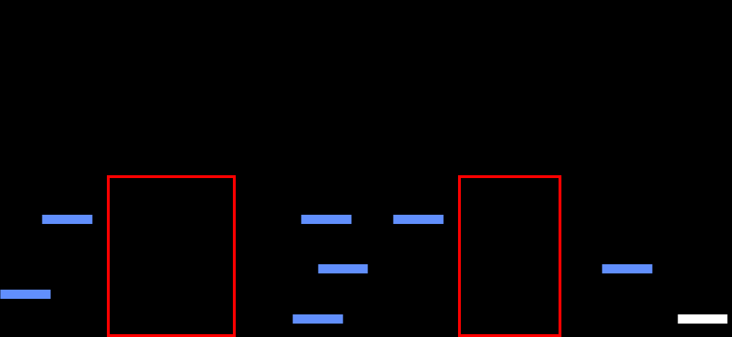 Πίνακες Αντικατάστασης 5/8 BLOSUM (Blocks