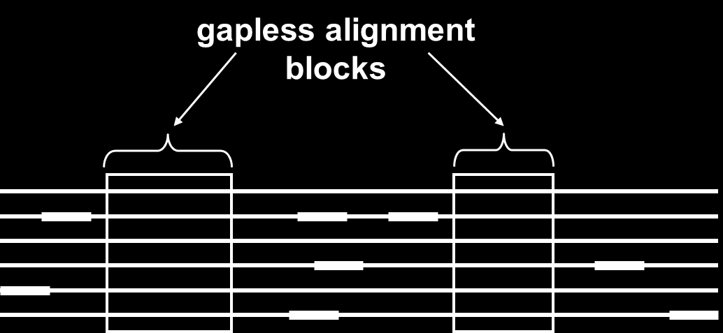 BLOCKS database: τοπική πολλαπλή στοίχιση