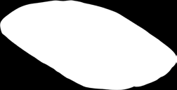 Κοκκοφοίνικας Λευκή βαμβακερή