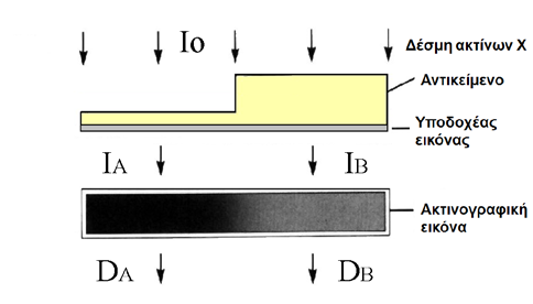 φιλμ/ανιχνευτής Σχήμα 4.1. I A και I B οι εντάσεις της πρωτογενούς ακτινοβολίας που διαπερνούν το λεπτό και το παχύ τμήμα του αντικειμένου αντίστοιχα.
