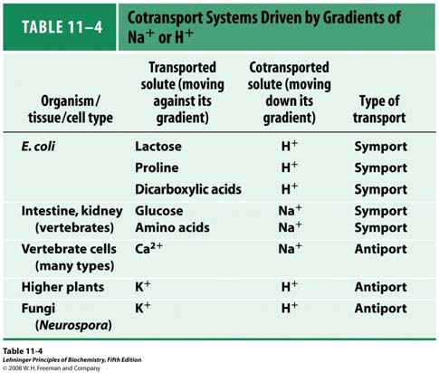 Gradijenti iona ko-transportirane tvari (koja se uvijek prenosi niz gradijent) daju energiju sekundarnim aktivnim transporterima za prijenos druge tvari (prenosi se suprotno svom koncentracijskom