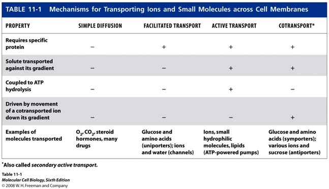 Transmembranski transport iona i malih Sumarni prikaz mehanizma transporta Transmembranski transport iona i malih Uniportni prijenos glukoze Transport supstancija uniporterima, olakšana difuzija,