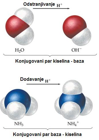 Brenšted-Lorijeva teorija Konjugovani parovi U reakciji: H 2 O + NH 3 HO + NH4 + : H 2 O i OH - čine