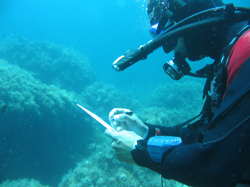 Εικόνα 2.5 Underwater visual fish census survey. Πίνακας 2.2 Αριθμός σταθμών δειγματοληψίας ανά νησί και έτος δειγματοληψίας.