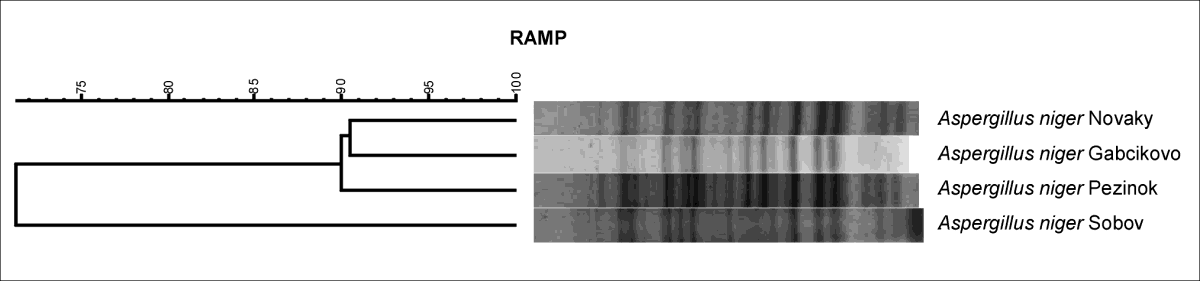 Obr. 46.