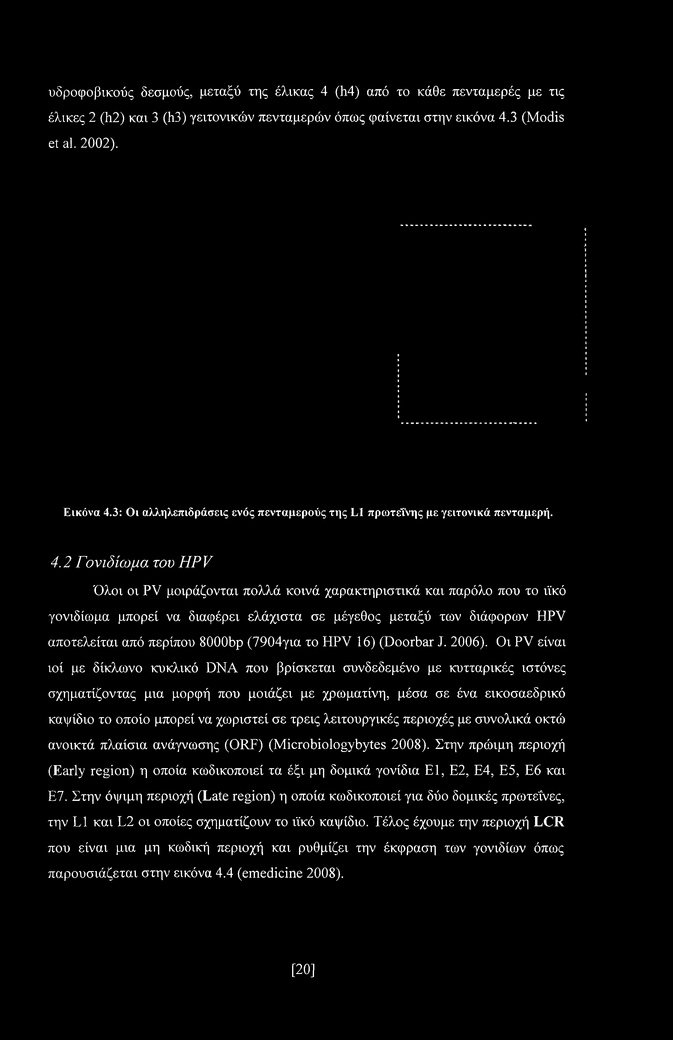 2 Γονιδίωμα του HPV Όλοι οι PV μοιράζονται πολλά κοινά χαρακτηριστικά και παρόλο που το ιϊκό γονιδίωμα μπορεί να διαφέρει ελάχιστα σε μέγεθος μεταξύ των διάφορων HPV αποτελείται από περίπου 8000bp