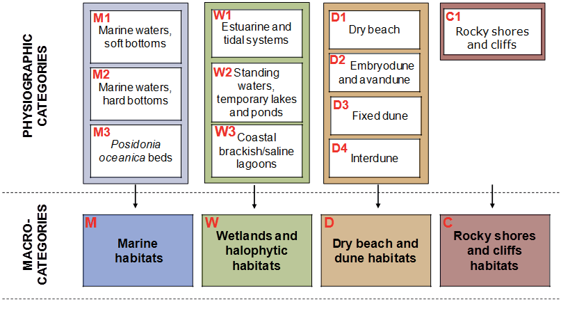 Code Macro-categories Μακροκατηγορίες M Marine habitats Θαλάσσιοι οικότοποι W Wetlands and halophytic habitats Έλη και αλοφυτικοί οικότοποι D Dry beach and dune habitats Αμμώδεις παραλίες και