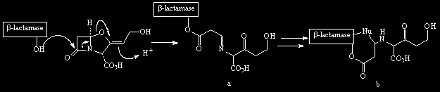 Σχήμα 8.1.1.2.1 Μηχανισμός δράσης αναστολέων β-λακταμασών Σελ. 211.