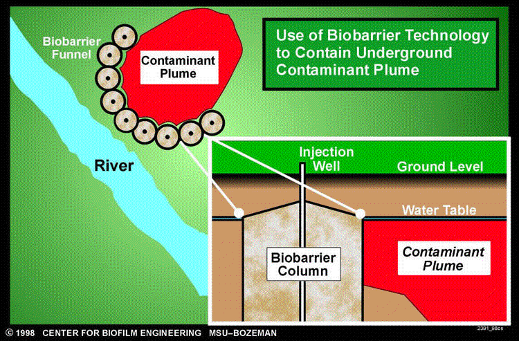 Uporaba biobarier