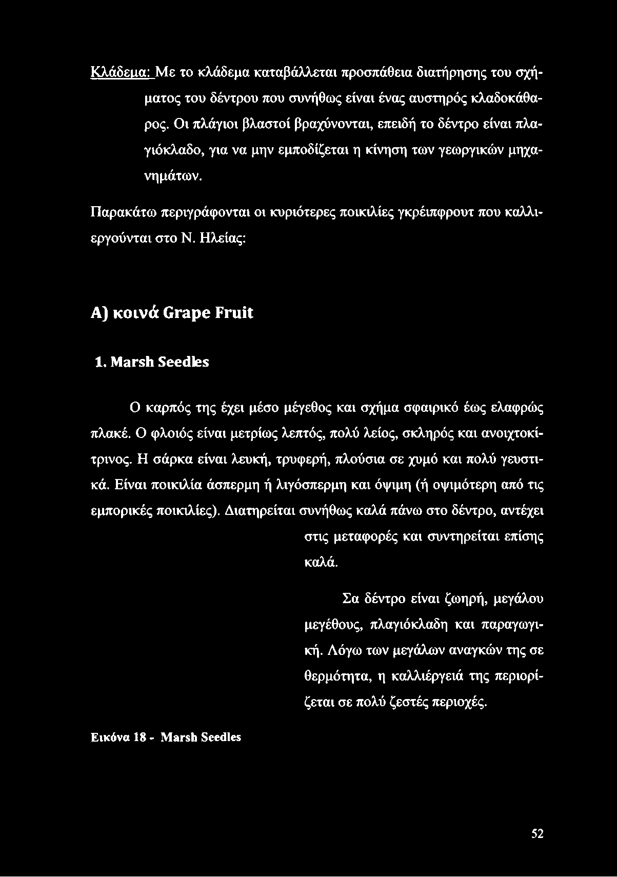 Παρακάτω περιγράφονται οι κυριότερες ποικιλίες γκρέιπφρουτ που καλλιεργούνται στο Ν. Ηλείας: Α) κοινά Grape Fruit 1.