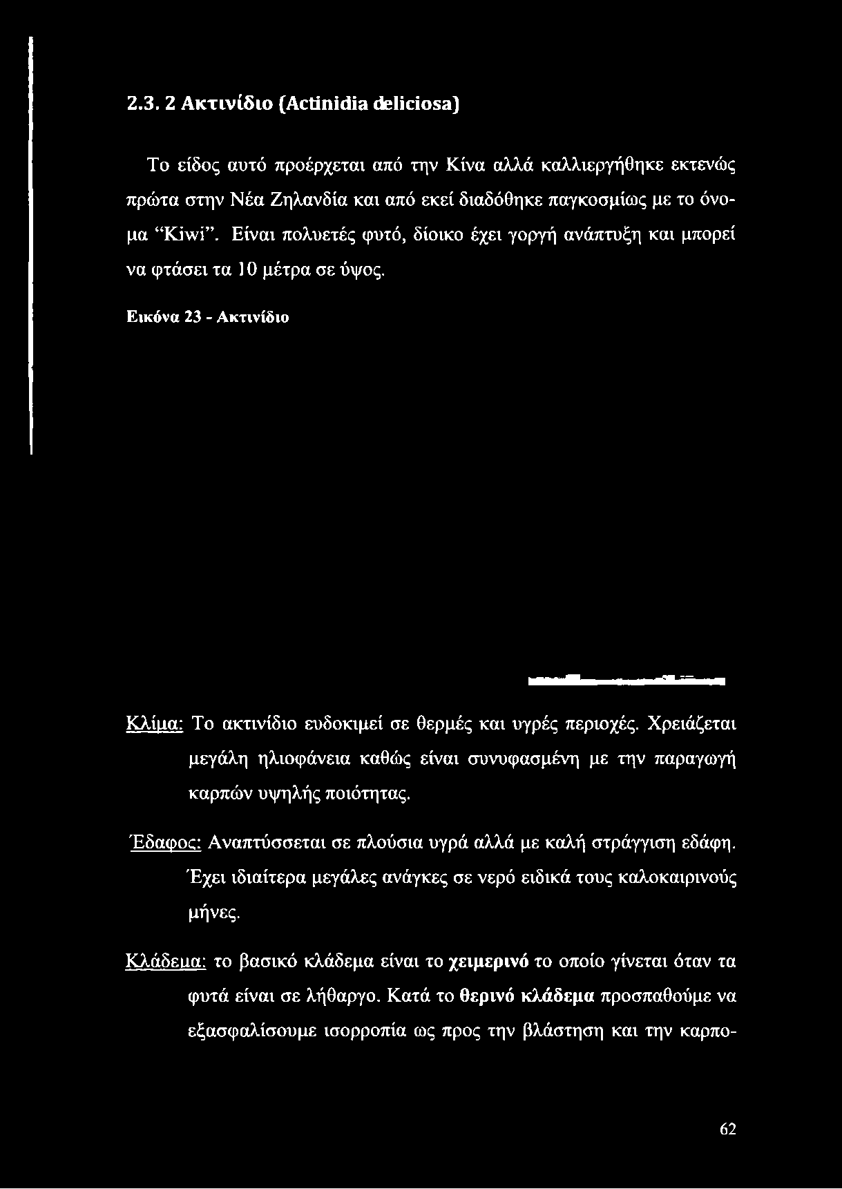 Είναι πολυετές φυτό, δίοικο έχει γοργή ανάπτυξη και μπορεί να φτάσει τα 10 μέτρα σε ύψος.