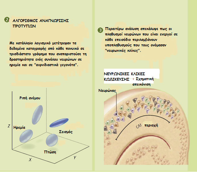 Με τη χρήση ειδικού λογισµικού κατάφεραν να µεταφράσουν τα δεδοµένα που πήραν από ένα ποντίκι σε τρισδιάστατο σχέδιο και προέκυψε ένα µοτίβο µε 4 κέντρα, ένα εκ των οποίων αντιστοιχούσε στην