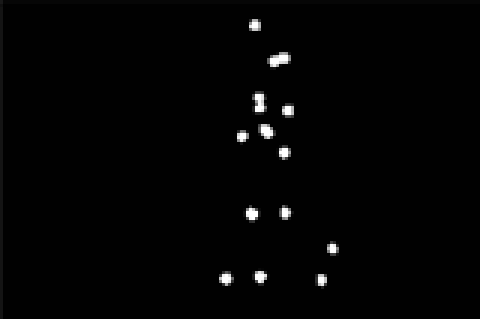Σχήμα 1.1: Μεμονωμένο frame που εικονίζει άνθρωπο που βηματίζει σε σκοτεινό παρασκήνιο έχοντας στους συνδέσμους του φωτεινά σημεία (Moving Light Displays) (επανεκτύπωση από τις διαφάνειες του I.