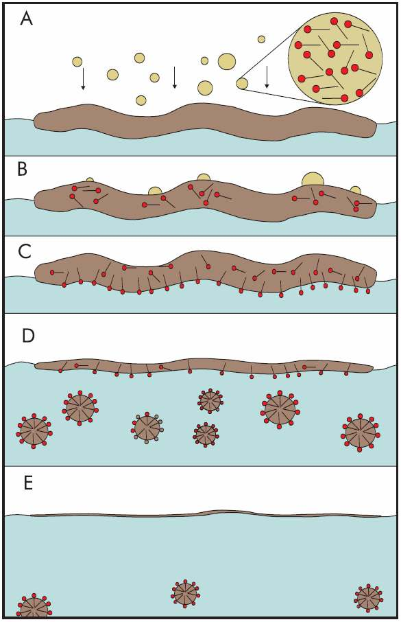 Chemical dispersants Στόχος είναι η