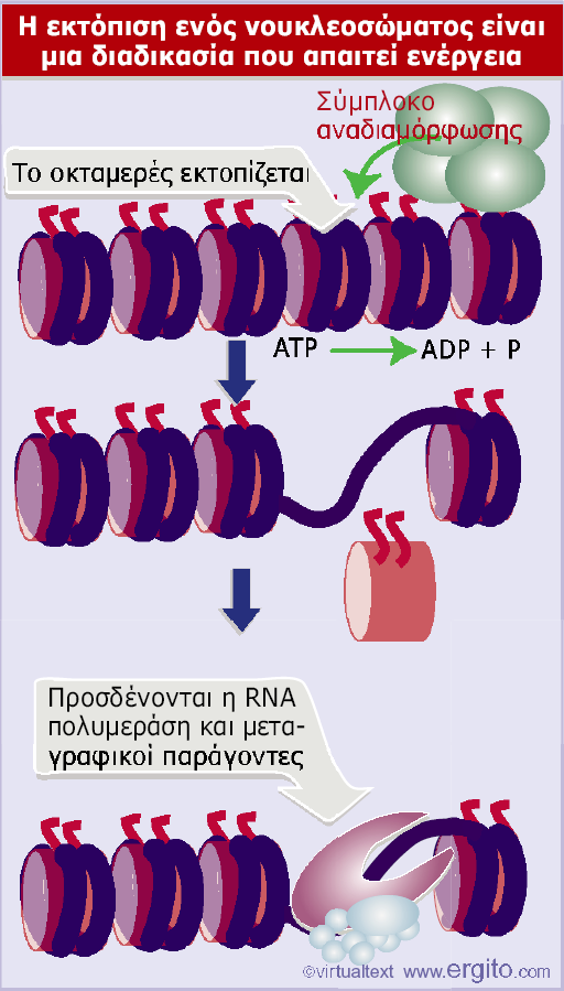 Εικόνα 23.