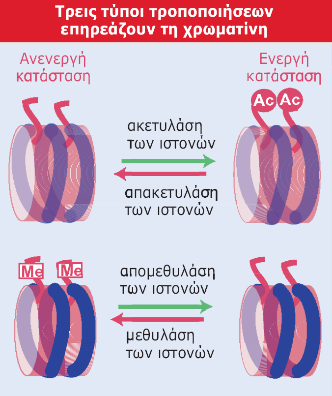 Εικόνα 23.