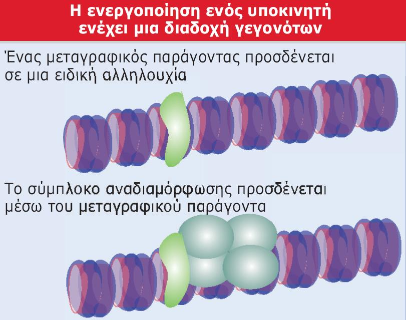 Εικόνα 23.