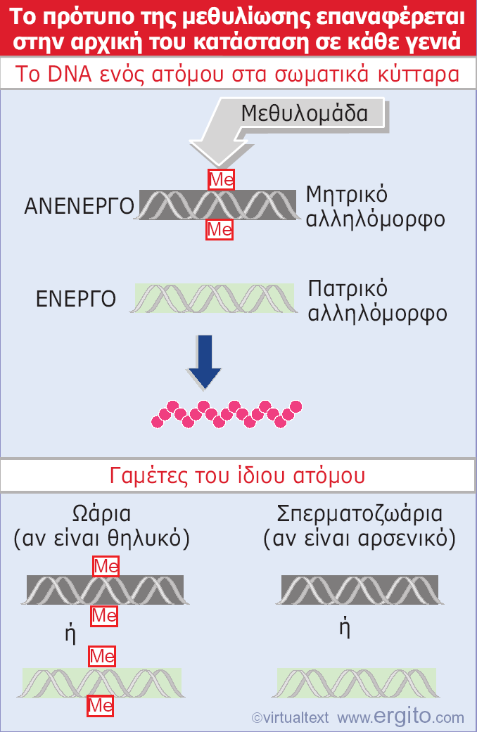 Εικόνα 23.