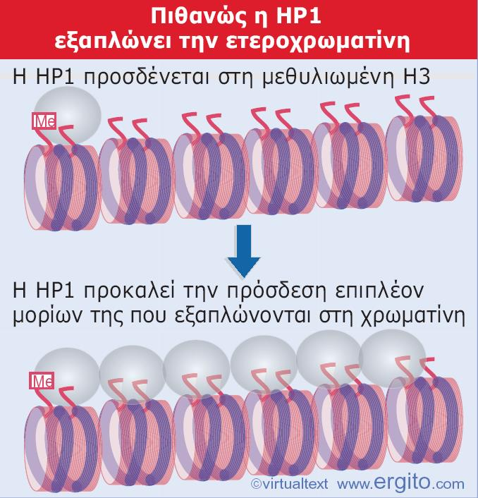 Εικόνα 23.