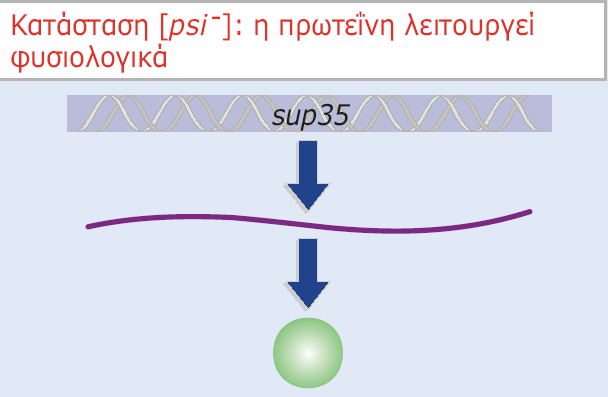 Εικόνα 23.