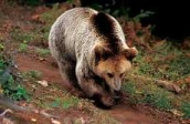 Το υψόμετρο της ζώνης είναι 570 750μ. και καταλαμβάνει 5.500 περίπου στρέμματα αμπελώνων.