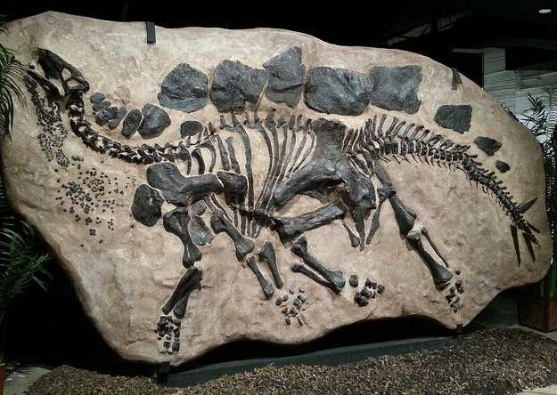 εκατομμύρια χρόνια κυριαρχούσαν οι δεινόσαυροι στον πλανήτη. Β4.1, Κ.