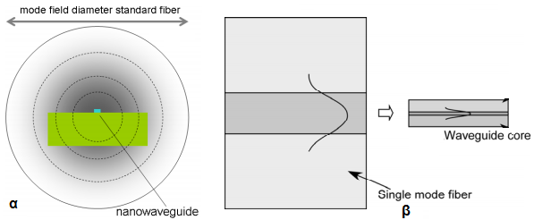 Εικόνα 1.3.1 : α. Σχηματική αναπαράσταση της διαφοράς του μεγέθους μεταξύ της οπτική ίνας και της διατομής του κυματοδηγού πυριτίου β. Σύγκριση των διαστάσεων του διαδιδόμενου πεδίου στα δύο στοιχεία.