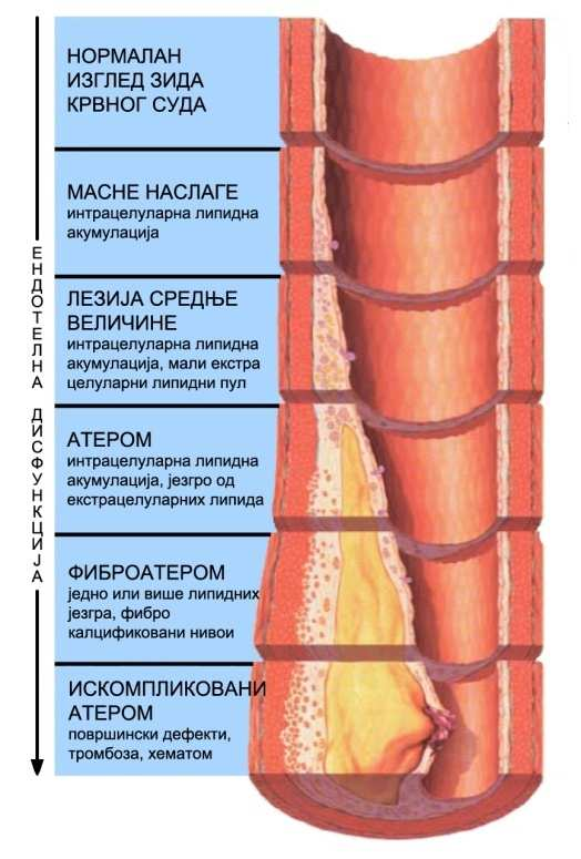 Слика 1.