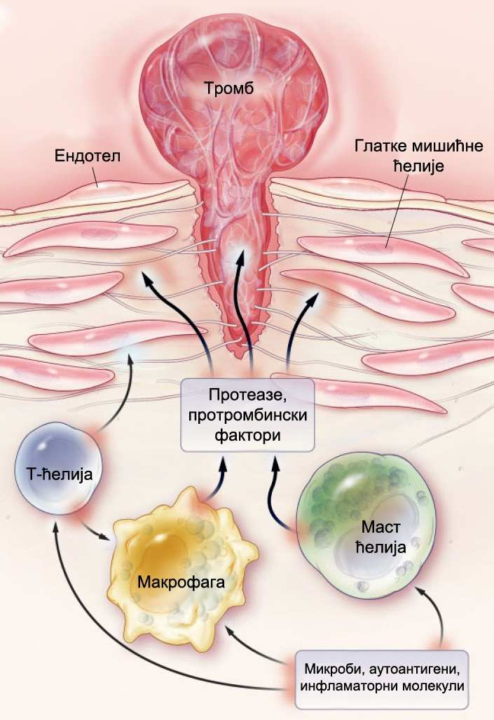 Слика 3.