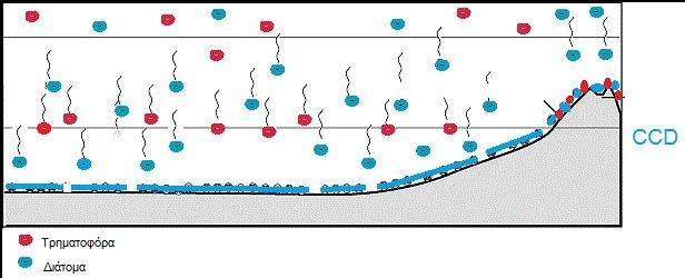 Ασβεστιτικό Αντισταθμιστικό Βάθος carbonate compensation depth (CCD) 1. To ψυχρό βαθύ νερό (μεγάλη υδροστατική πίεση) μπορεί να διατηρεί το CO 2.
