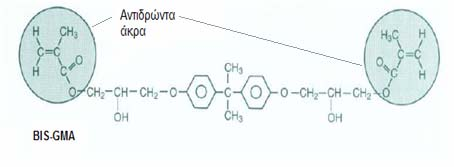 16 Εικόνα 1. Μόριο BisGMA (Sturdevant 2002).