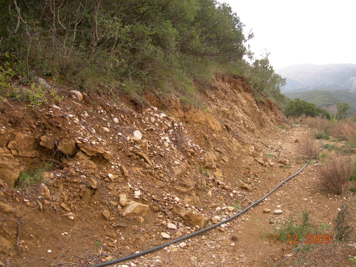 Εικόνα 7.