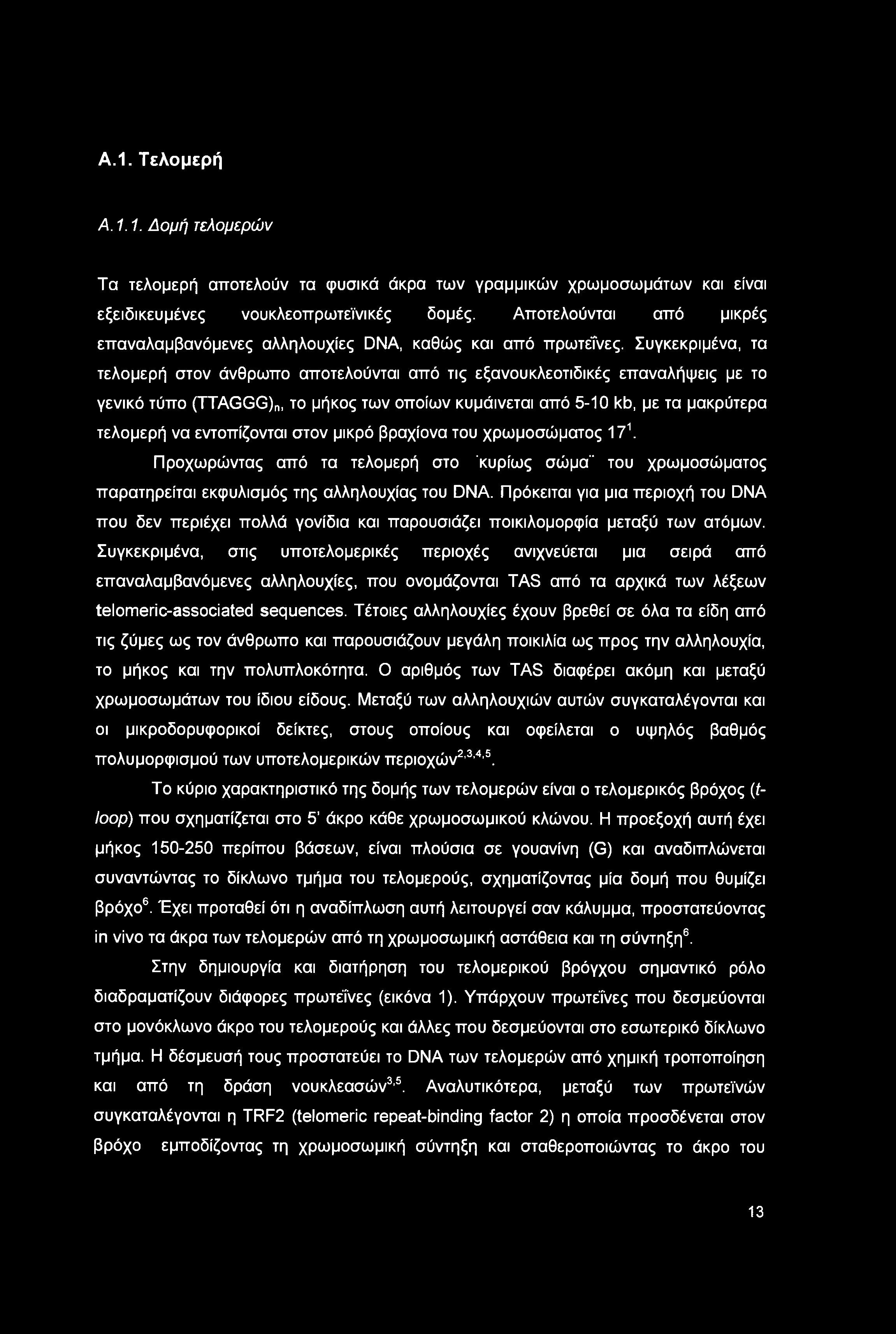 Α.1. Τελομερή A. 1.1. Δομή τελομερών Τα τελομερή αποτελούν τα φυσικά άκρα των γραμμικών χρωμοσωμάτων και είναι εξειδικευμένες νουκλεοπρωτεϊνικές δομές.