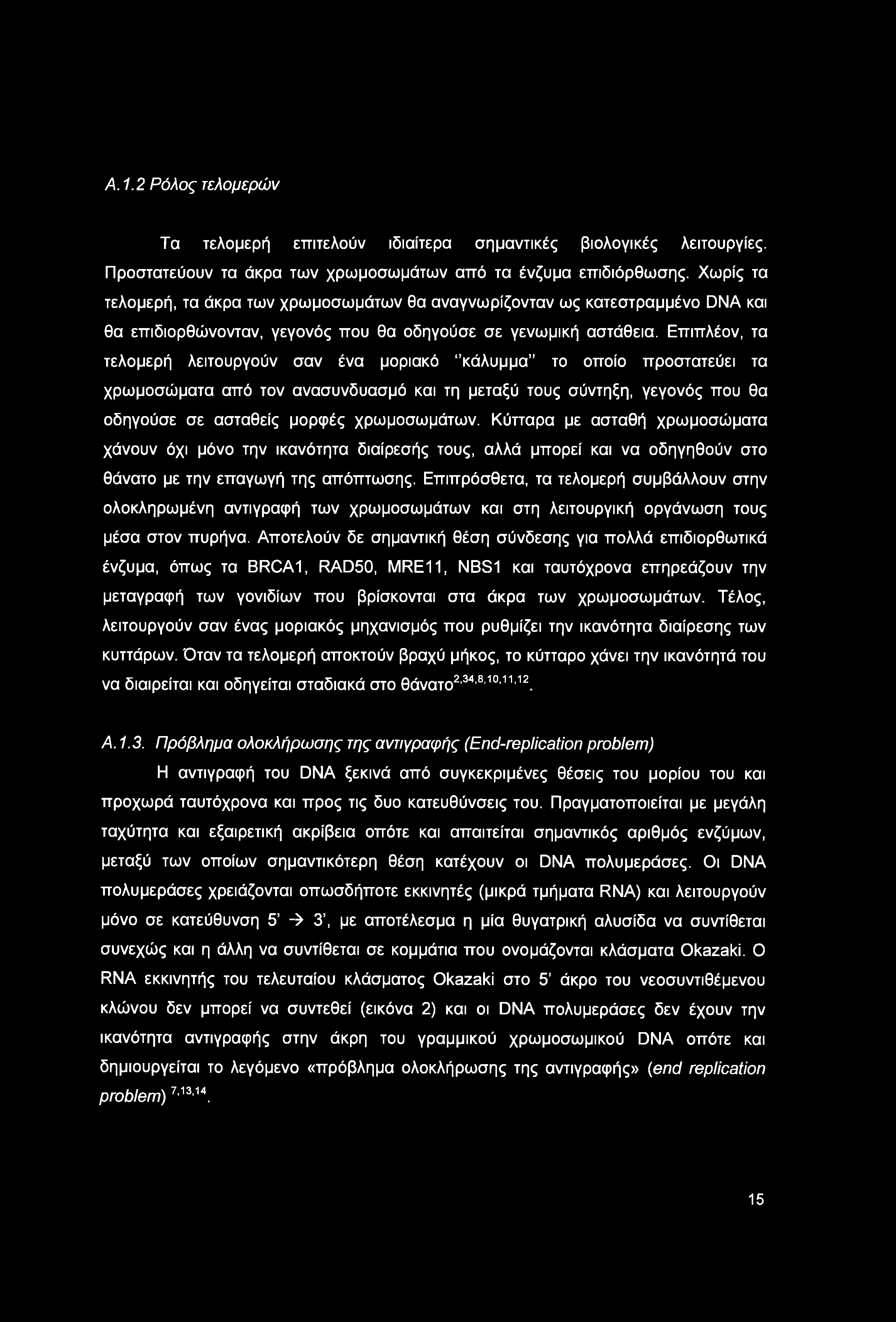 A. 1.2 Ρόλος τελομερών Τα τελομερή επιτελούν ιδιαίτερα σημαντικές βιολογικές λειτουργίες. Προστατεύουν τα άκρα των χρωμοσωμάτων από τα ένζυμα επιδιόρθωσης.