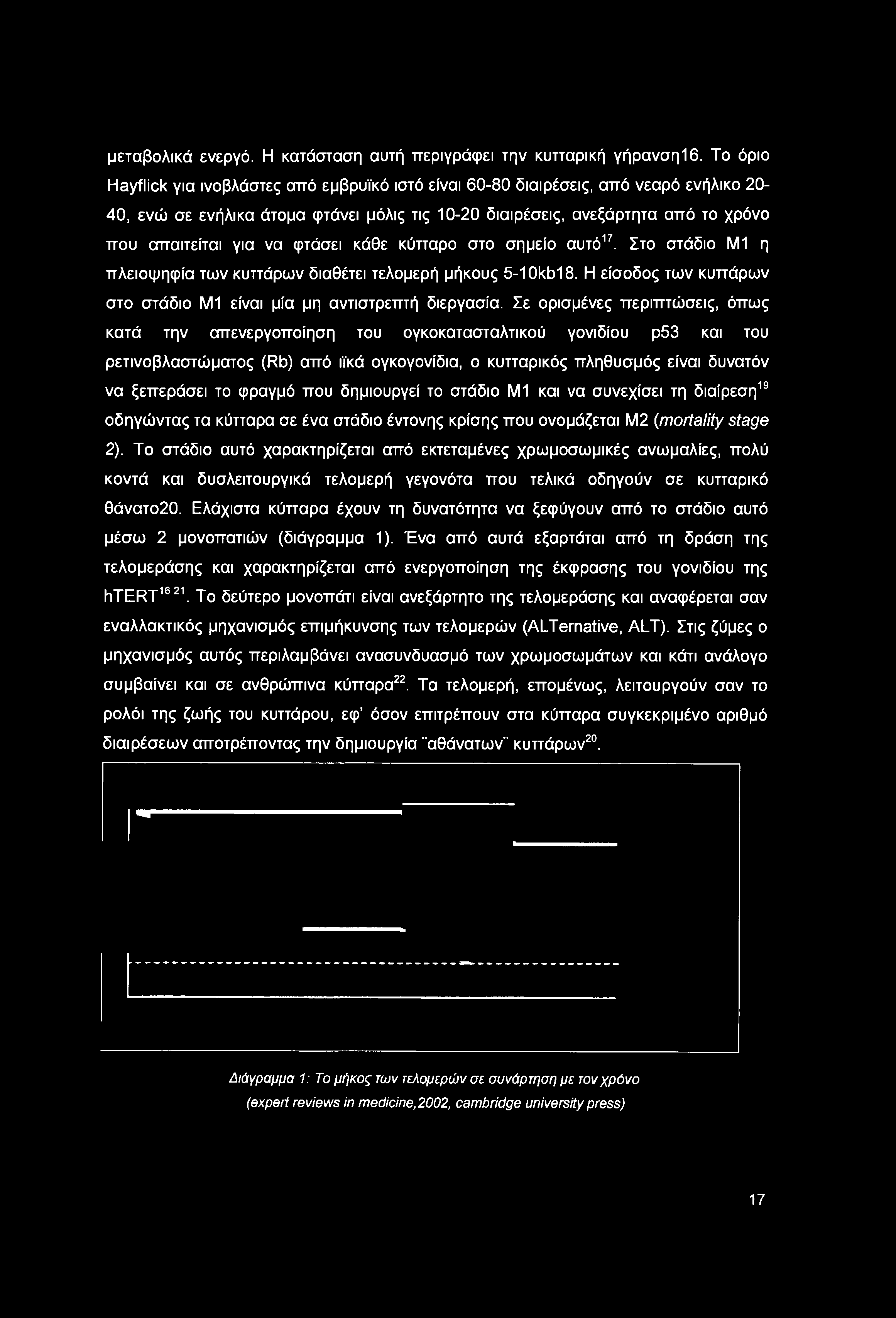 να φτάσει κάθε κύτταρο στο σημείο αυτό17. Στο στάδιο ΜΙ η πλειοψηφία των κυττάρων διαθέτει τελομερή μήκους 5-1 Okbl 8. Η είσοδος των κυττάρων στο στάδιο ΜΙ είναι μία μη αντιστρεπτή διεργασία.