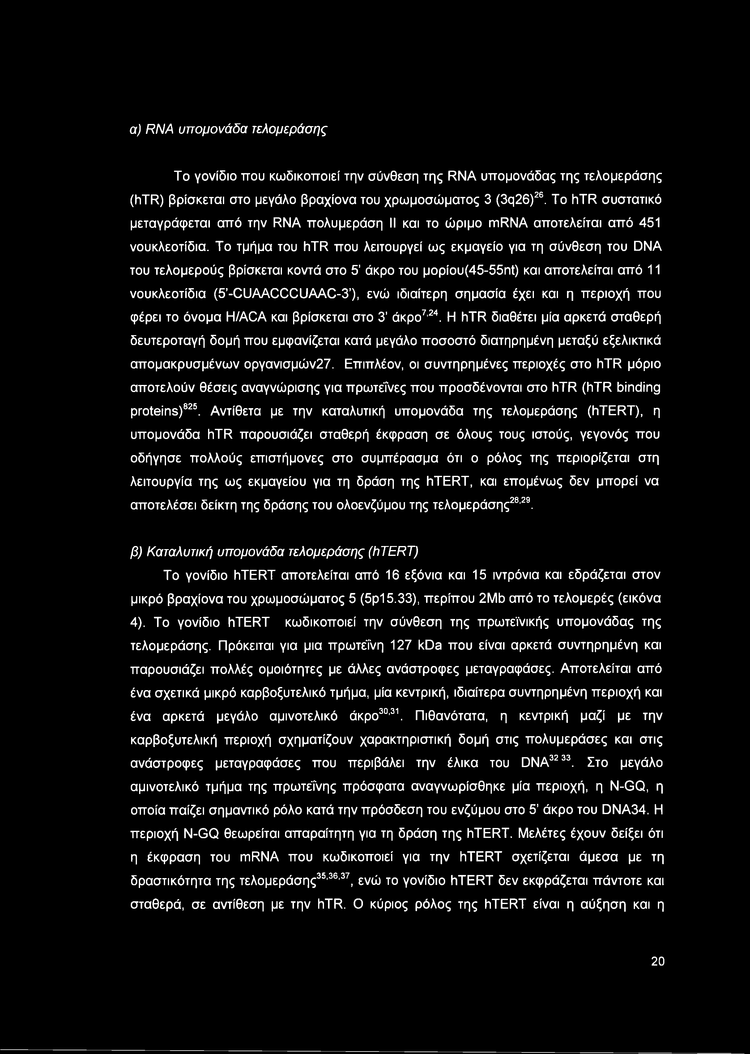 Το τμήμα του htr που λειτουργεί ως εκμαγείο για τη σύνθεση του DNA του τελομερούς βρίσκεται κοντά στο 5 άκρο του popiou(45-55nt) και αποτελείται από 11 νουκλεοτίδια (5 -CUAACCCUAAC-3 ), ενώ ιδιαίτερη