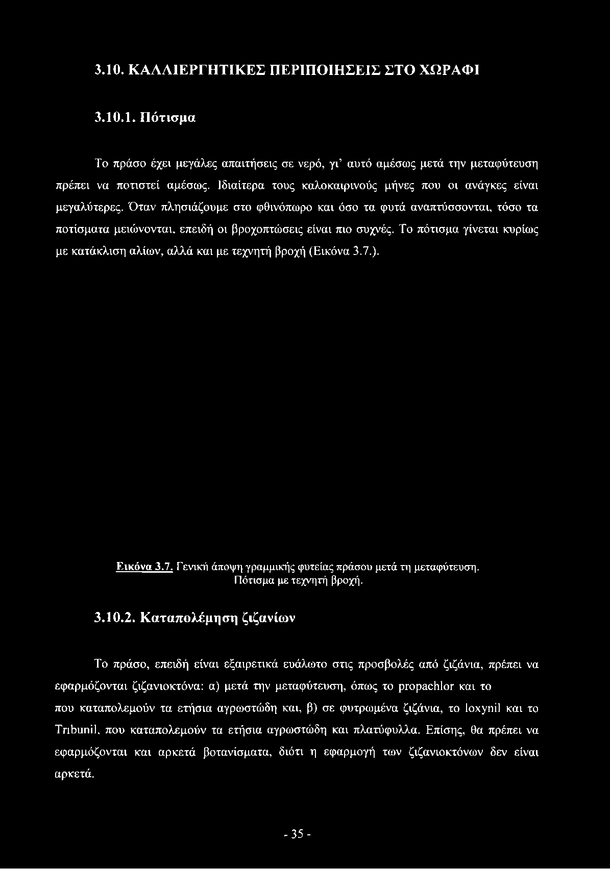 Όταν πλησιάζουμε στο φθινόπωρο και όσο τα φυτά αναπτύσσονται, τόσο τα ποτίσματα μειώνονται, επειδή οι βροχοπτώσεις είναι πιο συχνές.