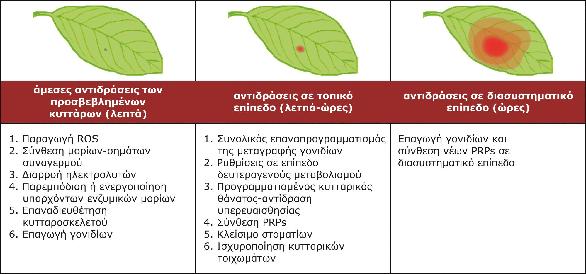 Η ακολουθία ενεργοποίησης των