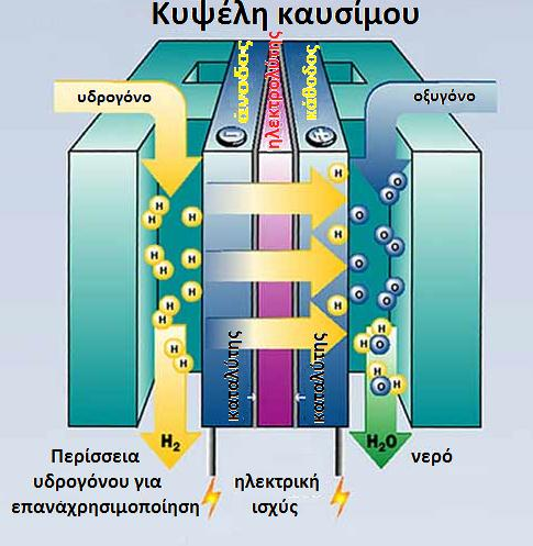 3.3. Περιγραφή μιας βασικής κυψέλης καυσίμου: Μία κυψέλη καυσίμου αποτελείται από δυο ηλεκτρόδια. Μία άνοδο και μία κάθοδο.