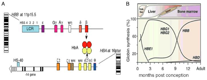 BMC Med Genomics. 2015;8(1):44.