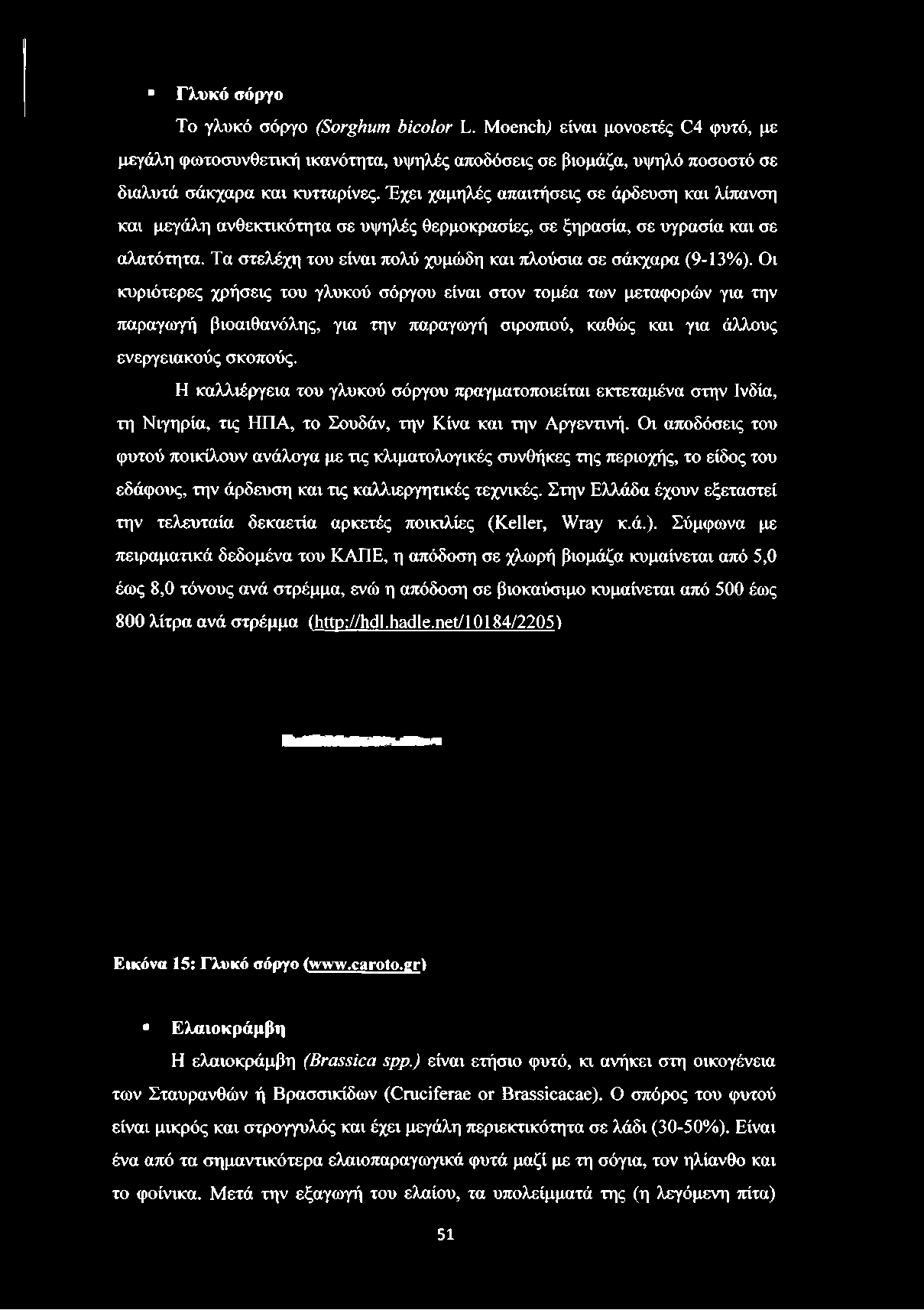 Η καλλιέργεια του γλυκού σόργου πραγματοποιείται εκτεταμένα στην Ινδία, τη Νιγηρία, τις ΗΠΑ, το Σουδάν, την Κίνα και την Αργεντινή.