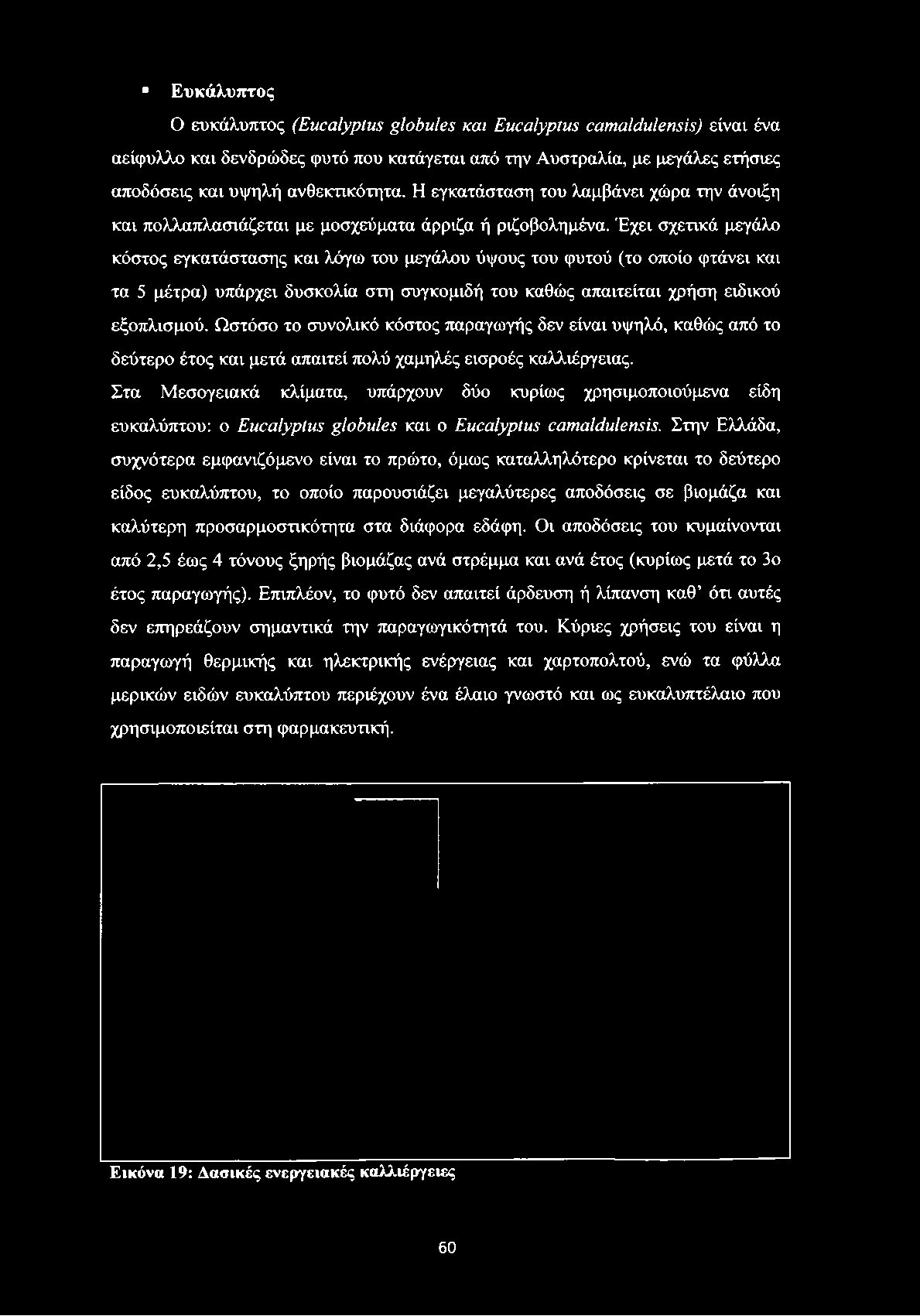 Έχει σχετικά μεγάλο κόστος εγκατάστασης και λόγω του μεγάλου ύψους του φυτού (το οποίο φτάνει και τα 5 μέτρα) υπάρχει δυσκολία στη συγκομιδή του καθώς απαιτείται χρήση ειδικού εξοπλισμού.