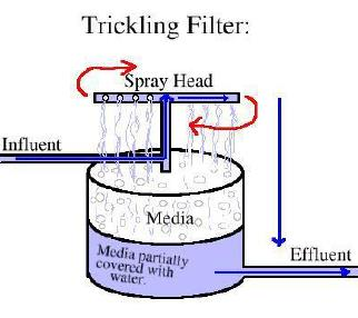Συστήματα προσκολλημένης βιομάζας Βιολογικά Φίλτρα Τα βιολογικά φίλτρα ή σταλαγματικά φίλτρα είναι διατάξεις όπου χαλίκια 2-10 cm είναι τοποθετημένα σε μία δεξαμενή.