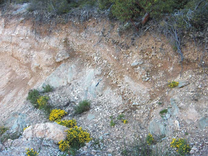 Σχ. 20. Αποκάλυψη των πρασινογνευσίων κάτω από τα κορήματα σε τομή του δρόμου που κόβει τα κορήματα στα νότια της Ι.Μ. Αγ. Παύλου.