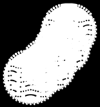 cotton blossom 12 4,60 Ζ202 μήλο-κανέλλα 12 4,60 Ζ203