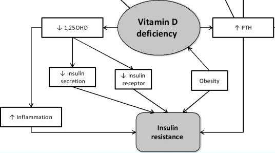 Η ΔΙΑΤΑΡΑΧΗ ΣΤΗΝ ΙΝΣΟΥΛΙΝΗ ΚΑΙ ΤΗ Vit-D Μελέτες αποκάλυψαν νέα στοιχεία που εμπλέκονται στη διαταραχή της