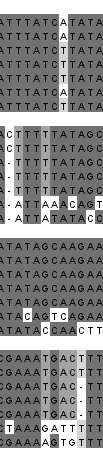 επαναλήψεις (Direct Repeats, DRs) μίας αλληλουχίας 22 bp (ζευγών βάσεων) και δύο ανάστροφες επαναλήψεις (Inverted Repeats, IRs) (Εικ. 4 3).